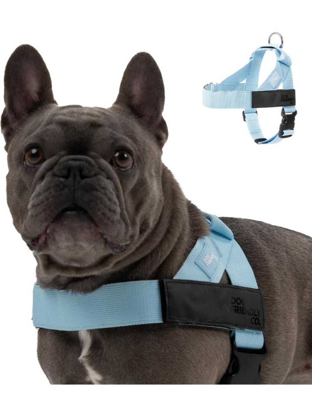 Sky Blue Dog Harness for Large Dogs - Adjustable, No-Pull, Comfortable Fit